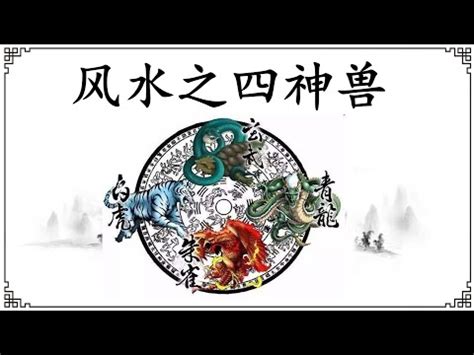 四聖獸方位|詳細解讀為什麼青龍白虎朱雀玄武，代表東南西北四個。